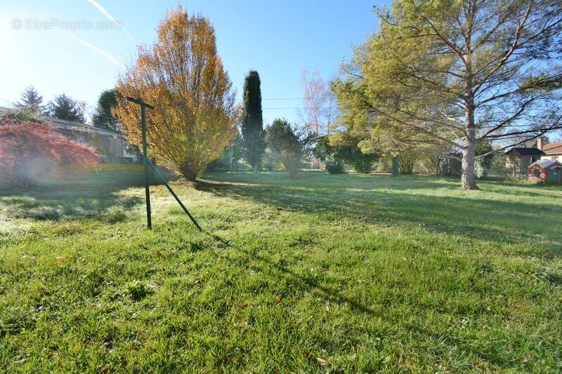 Terrain à LA COURONNE