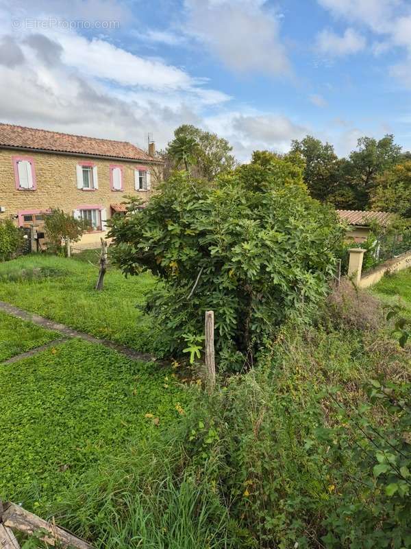 Maison à MIREPOIX