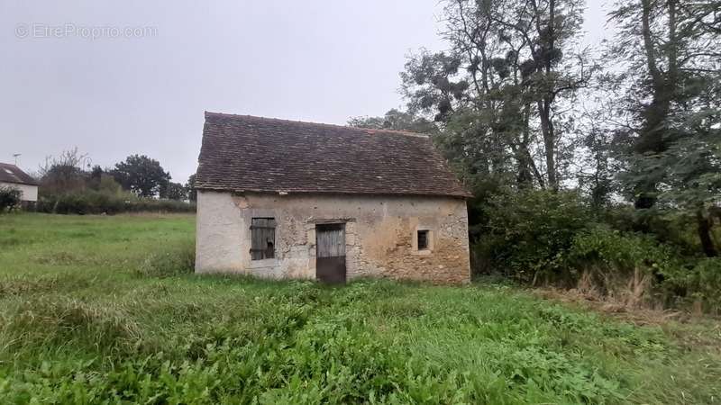 Terrain à FERCE-SUR-SARTHE