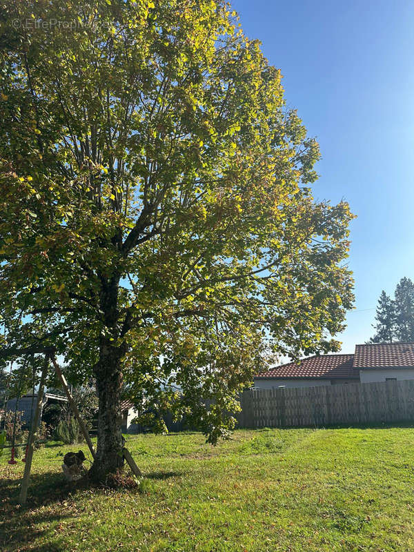 Maison à RENAISON