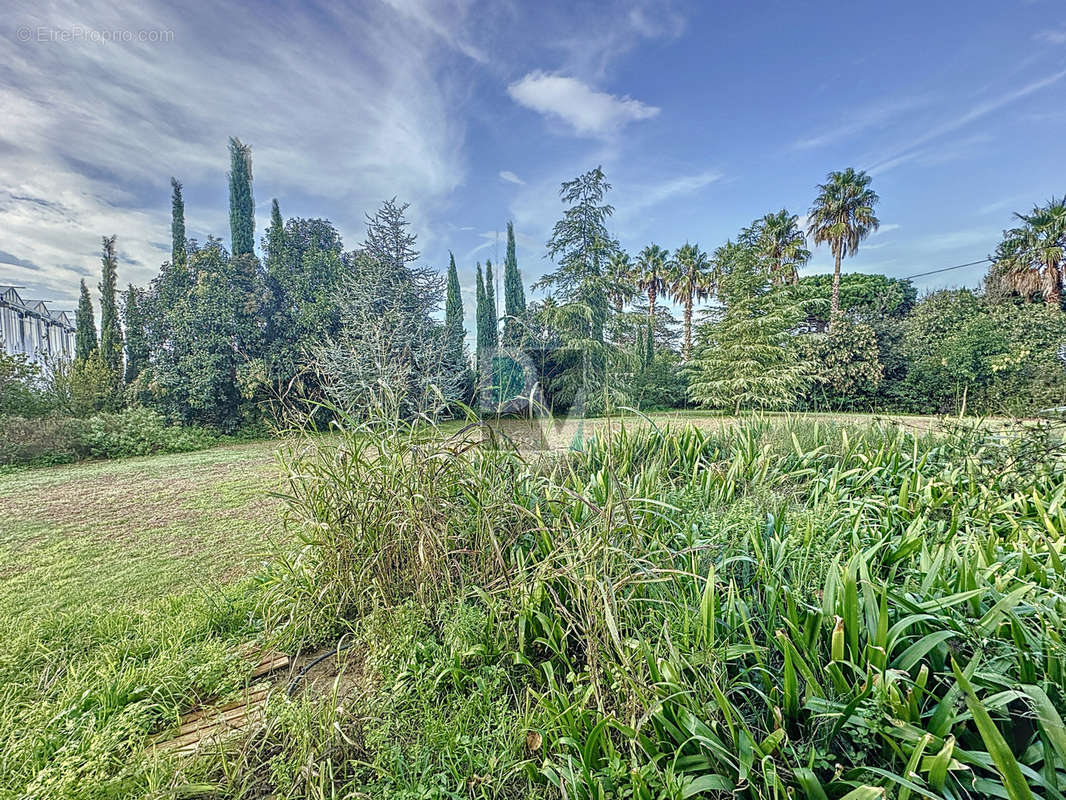 Maison à ALENYA