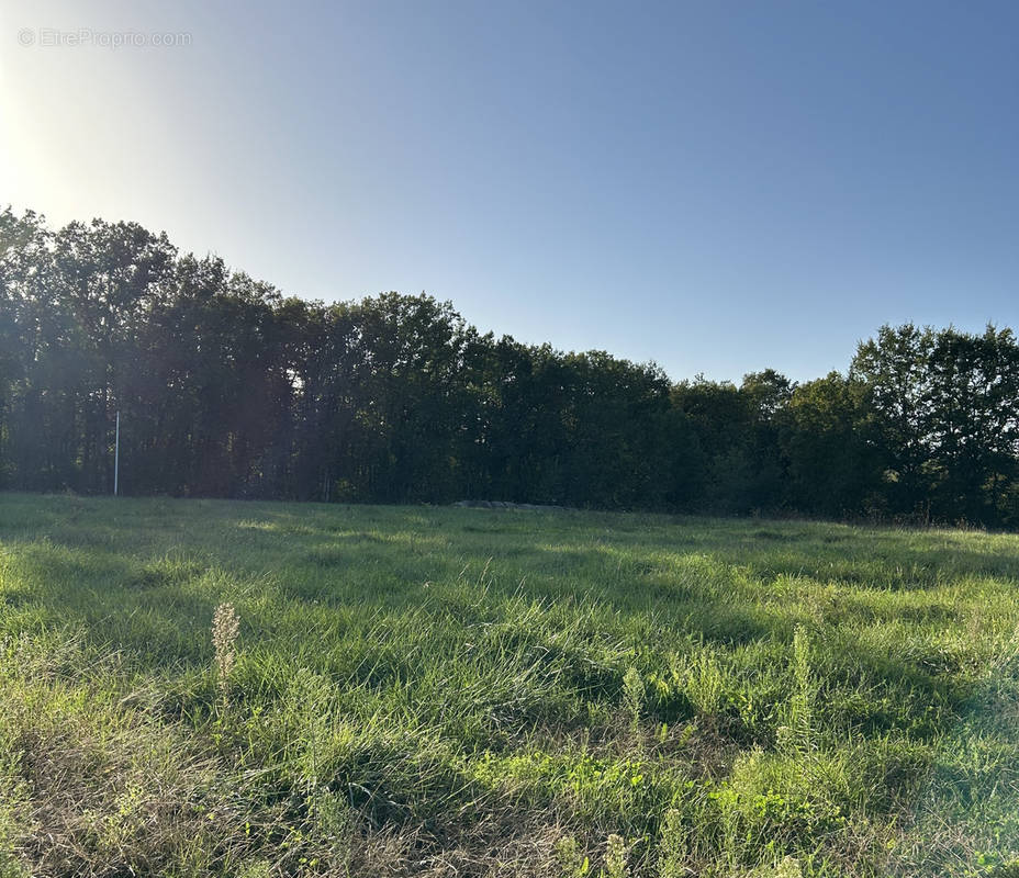 Terrain à GENEBRIERES