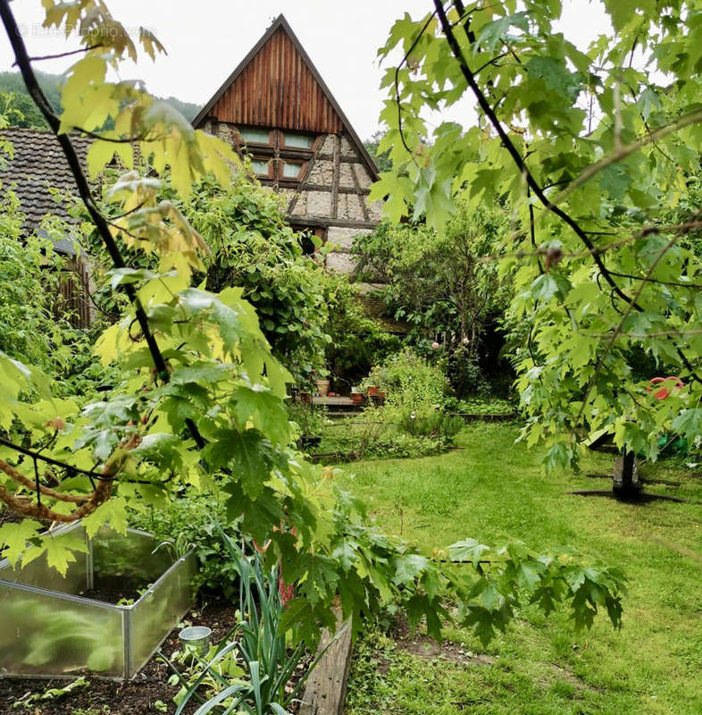 Maison à STRASBOURG