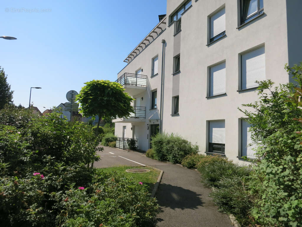 Appartement à HOENHEIM