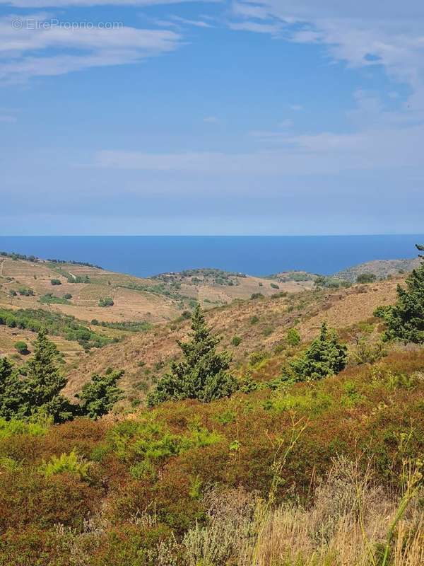 Terrain à PORT-VENDRES