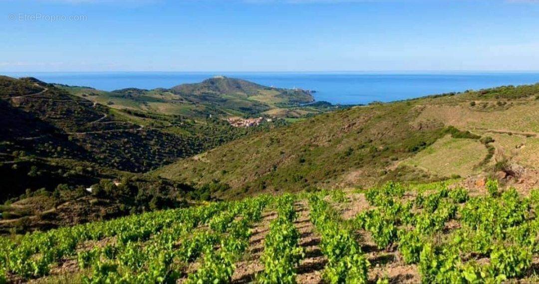 Terrain à PORT-VENDRES