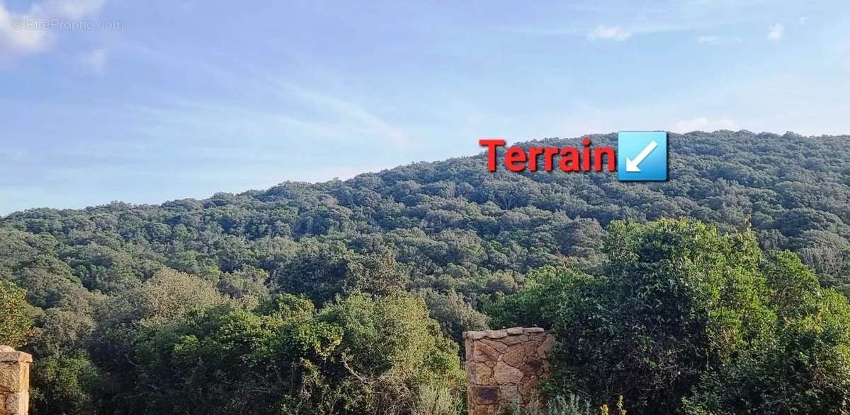 Terrain à COTI-CHIAVARI