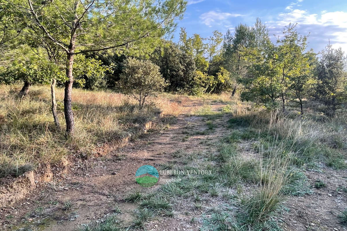 Terrain à MAZAN