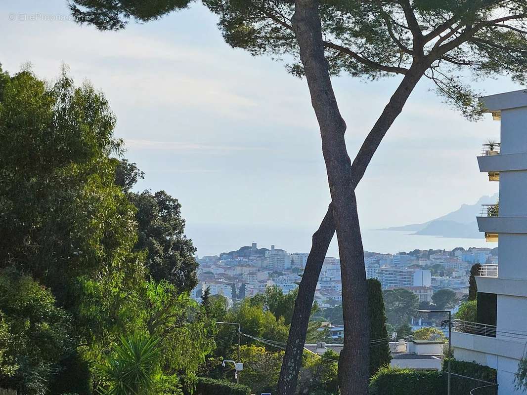 Appartement à LE CANNET