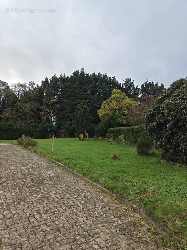 Terrain à MAREUIL-LES-MEAUX