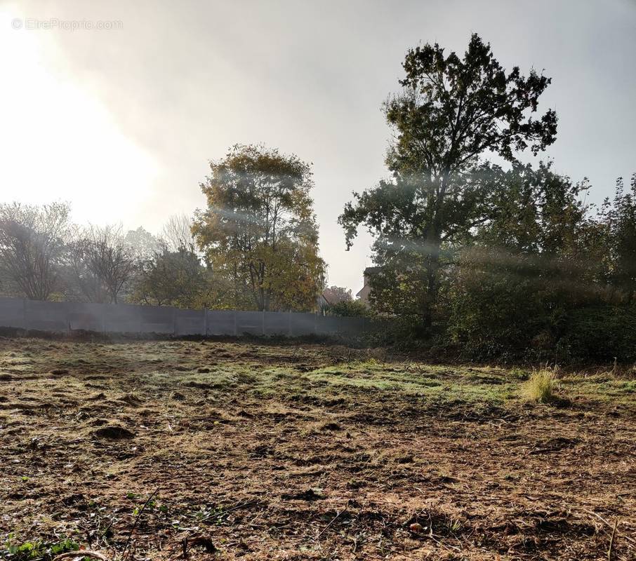 Terrain à VILLENEUVE-LE-COMTE