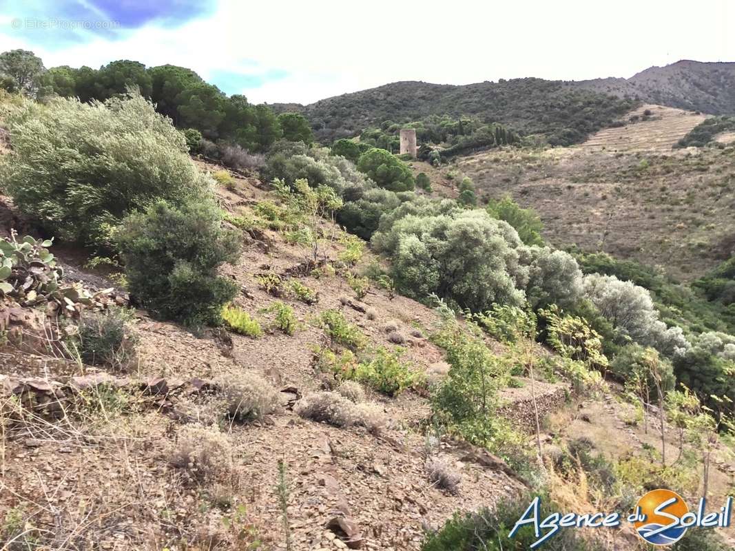 Terrain à BANYULS-SUR-MER