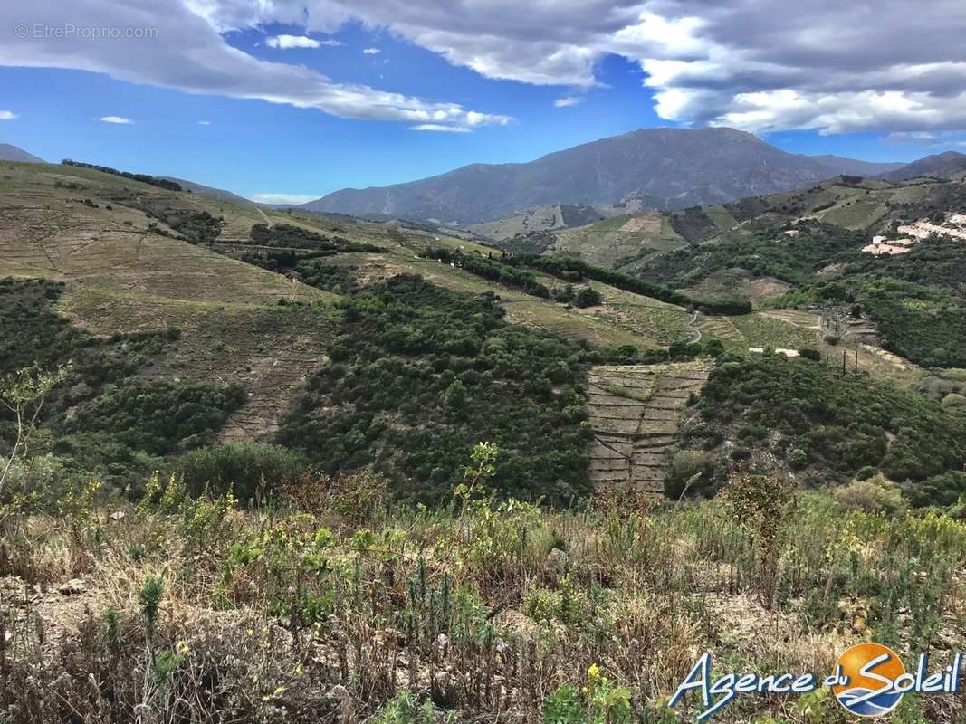 Terrain à BANYULS-SUR-MER