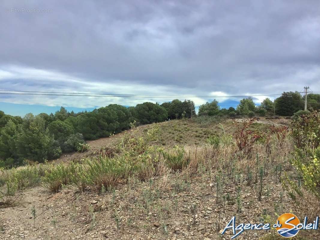 Terrain à BANYULS-SUR-MER