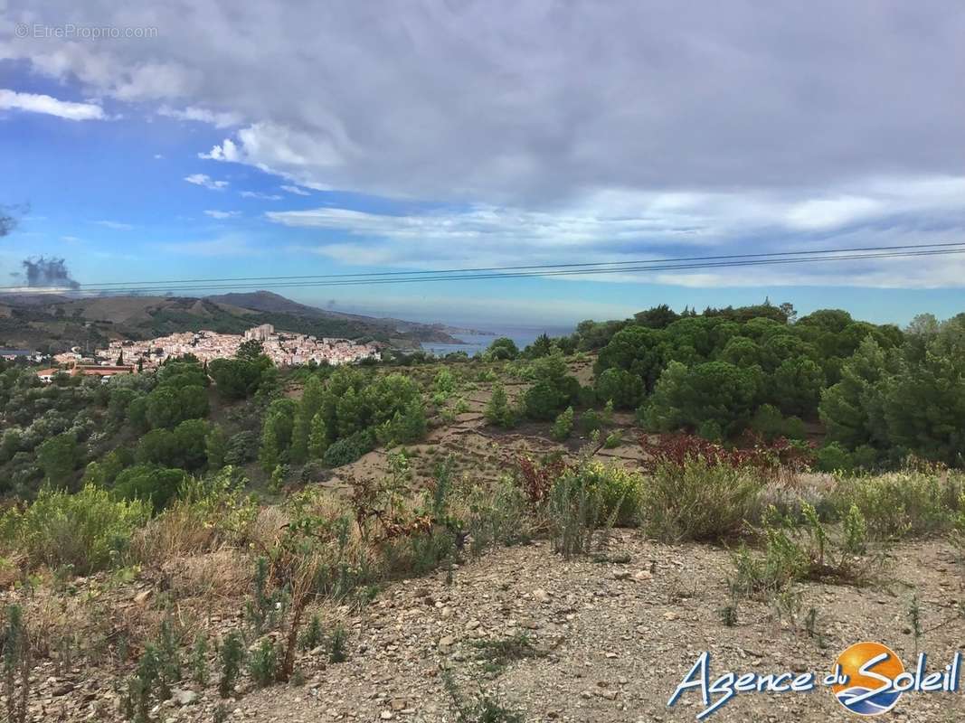 Terrain à BANYULS-SUR-MER