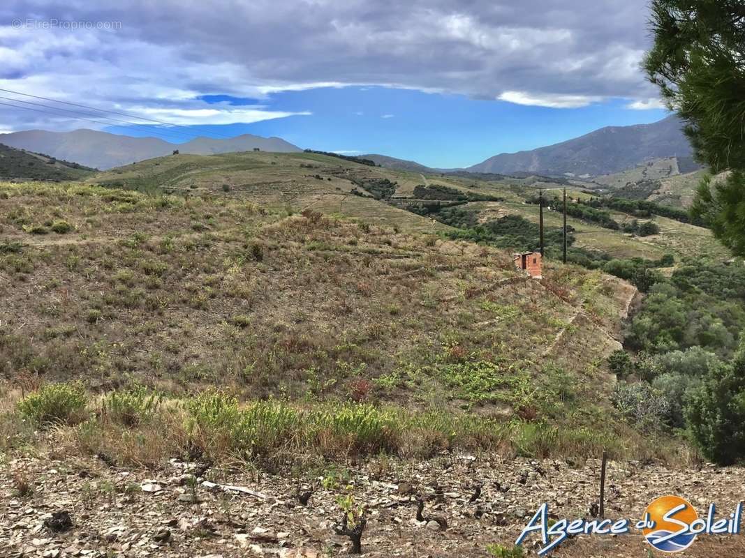 Terrain à BANYULS-SUR-MER