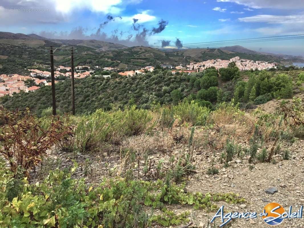 Terrain à BANYULS-SUR-MER