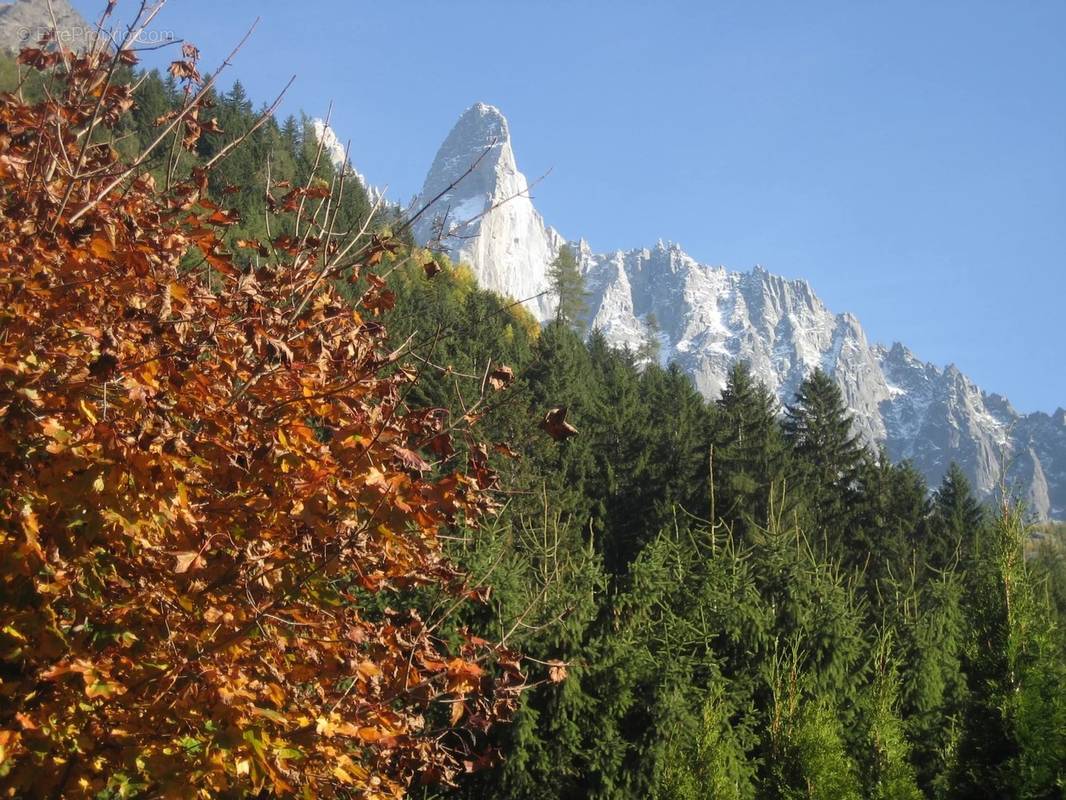 Commerce à CHAMONIX-MONT-BLANC