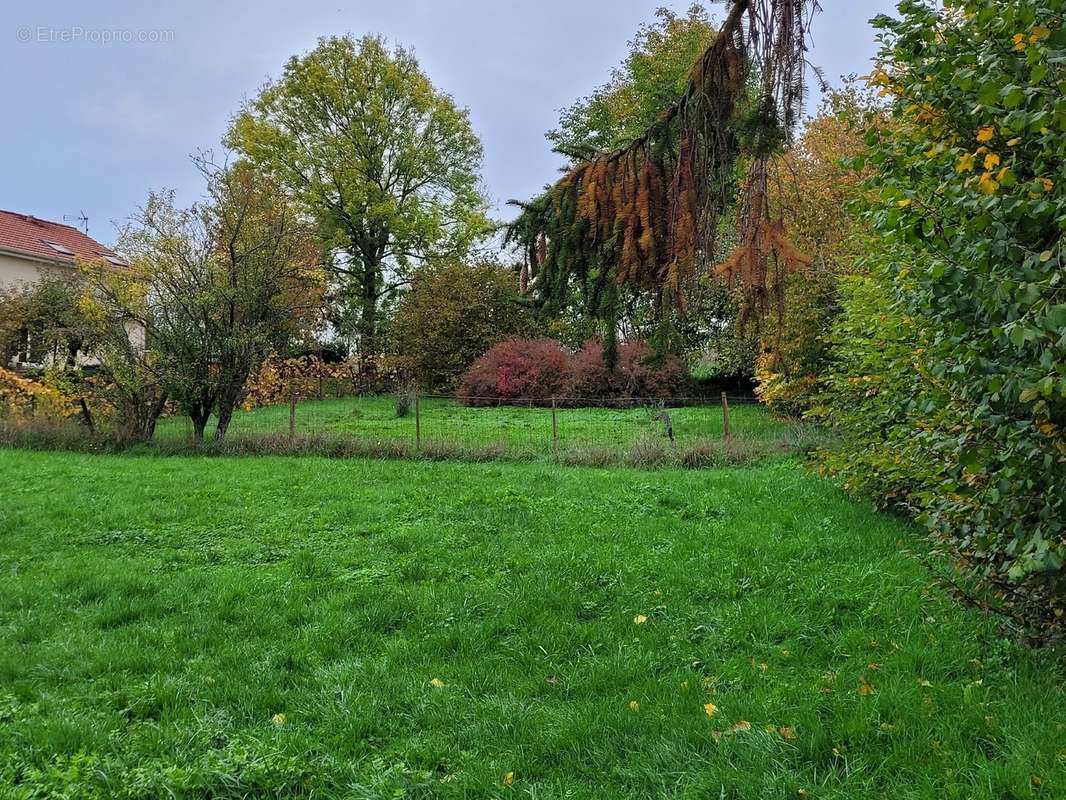 Terrain à CHAMPENOUX