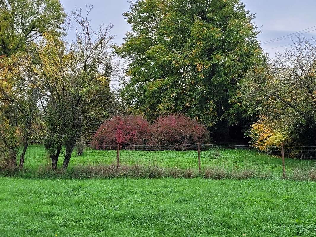 Terrain à CHAMPENOUX