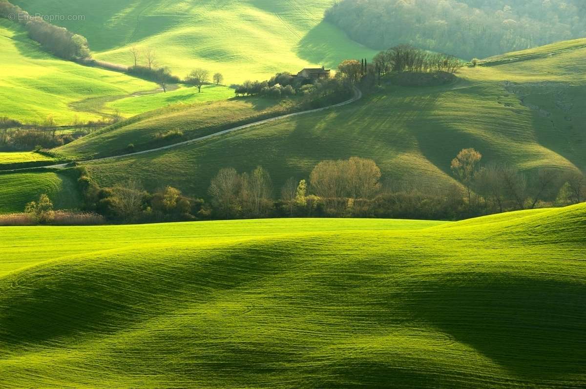 Terrain à CHOLOY-MENILLOT