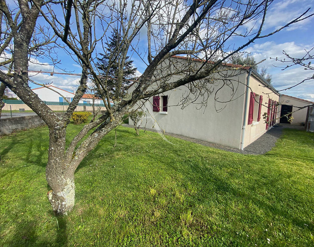 Maison à MONTAIGU