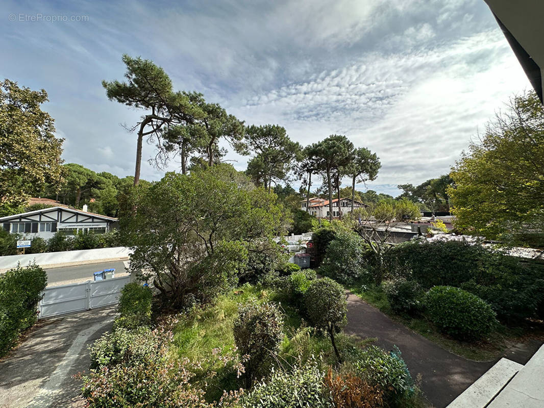 Appartement à LE BOUSCAT