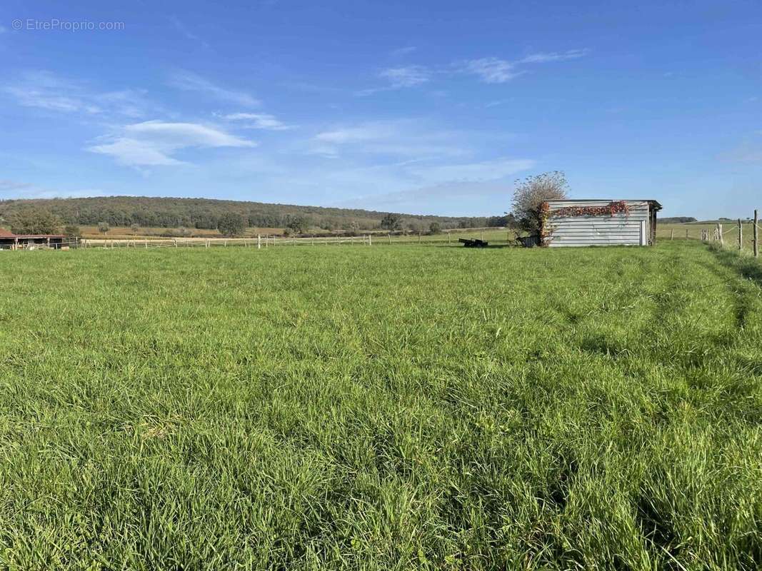 Terrain à FARGES-LES-MACON