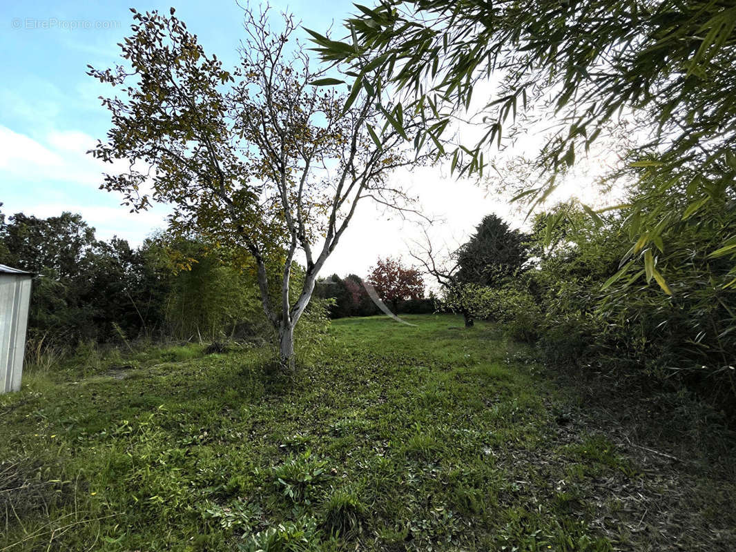 Terrain à BEAUFORT-EN-VALLEE