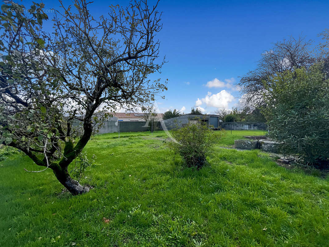 Maison à CHAMPAGNE-LES-MARAIS