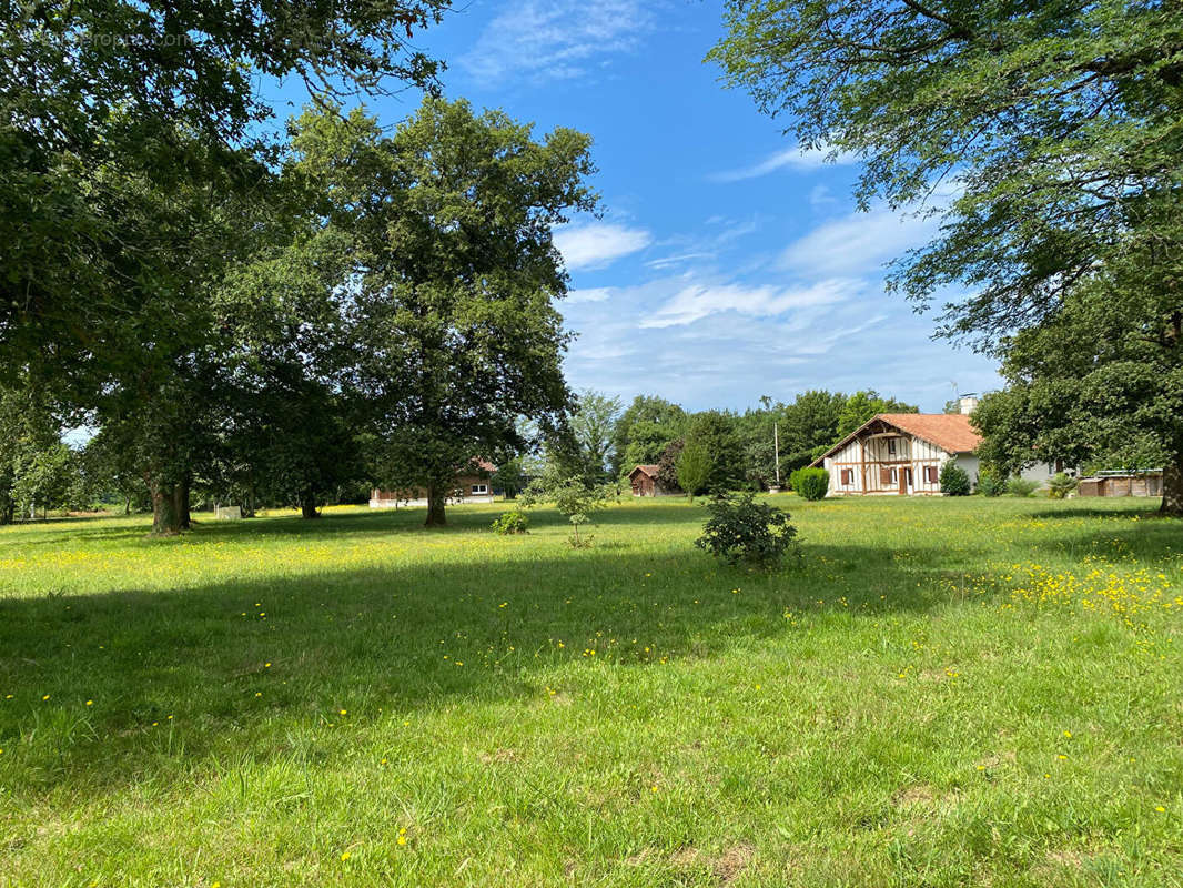 Maison à ARENGOSSE