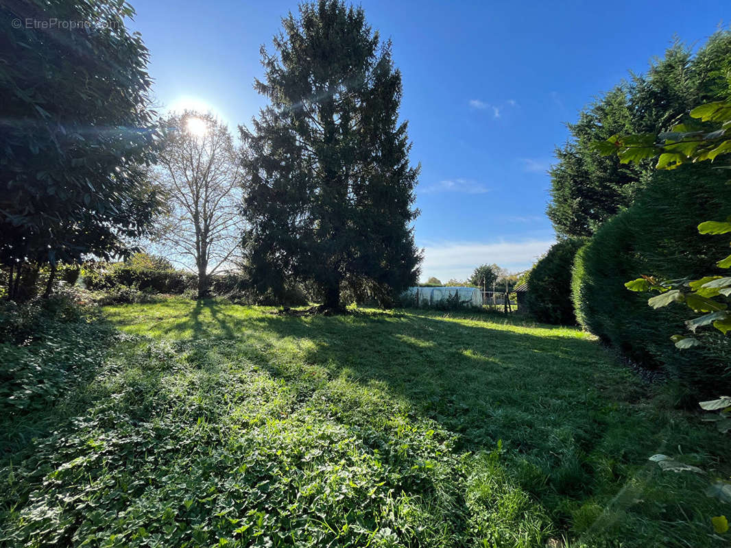 Terrain à VERNEUIL-SUR-VIENNE