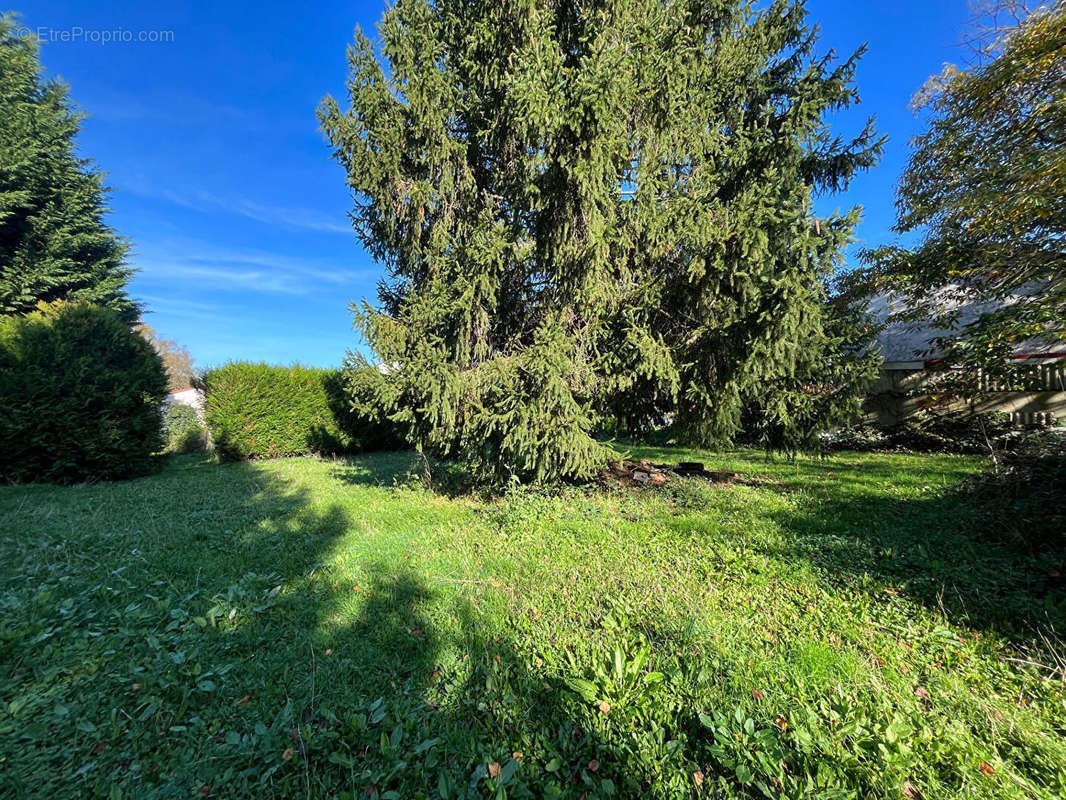 Terrain à VERNEUIL-SUR-VIENNE