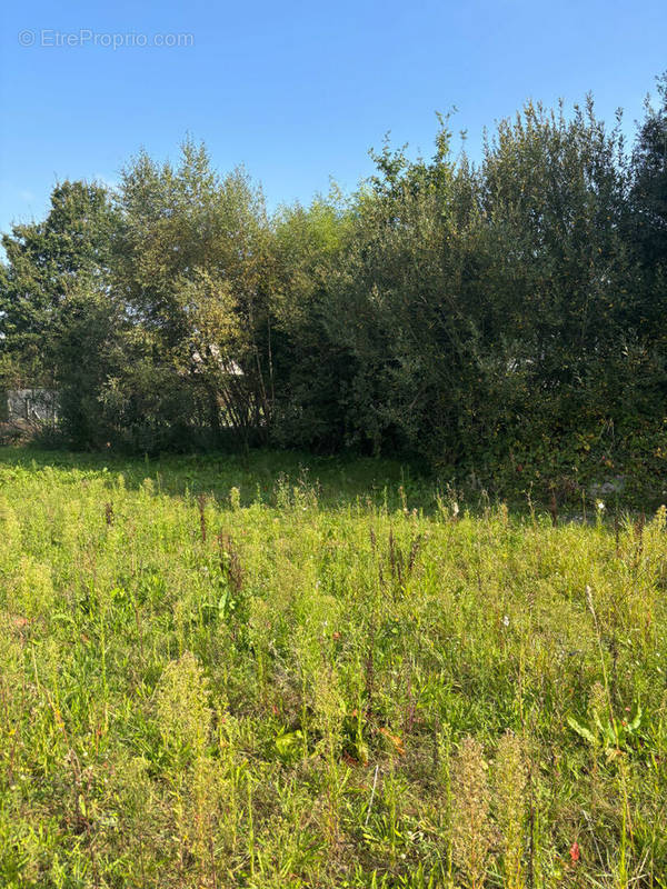 Terrain à QUIMPER