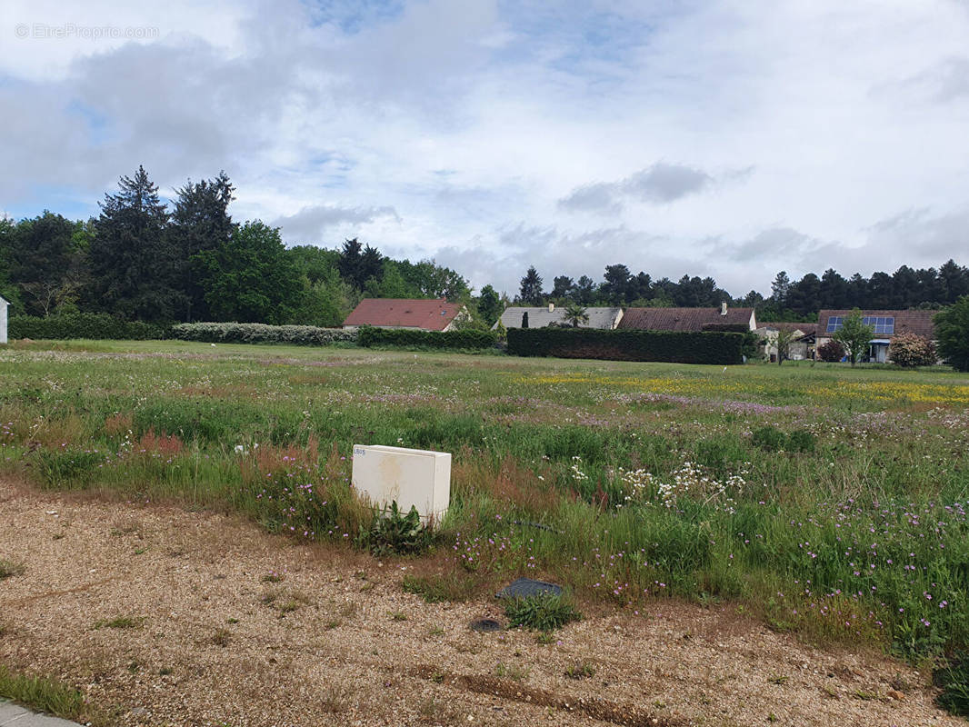 Terrain à BRAY-EN-VAL