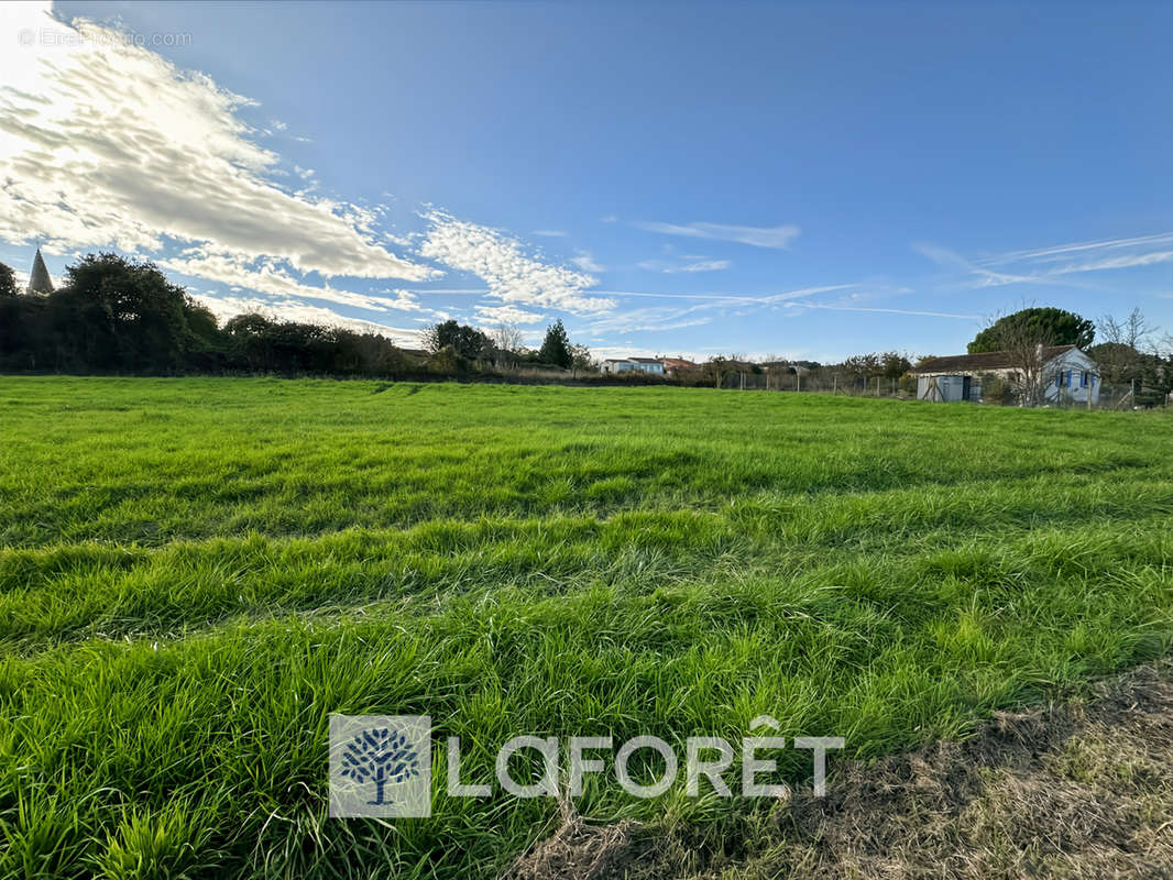 Terrain à AVY