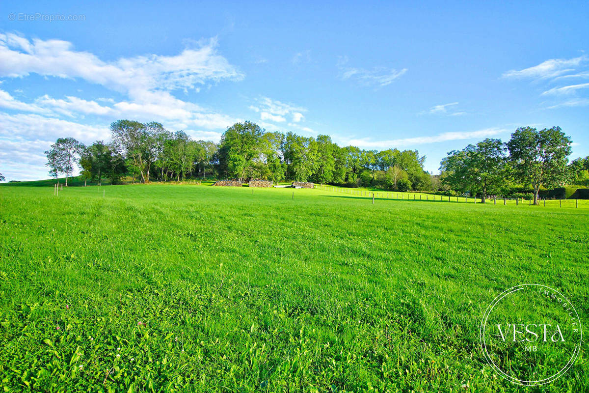 Terrain à BLAISY-BAS