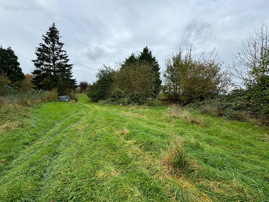 Terrain à WALLERS