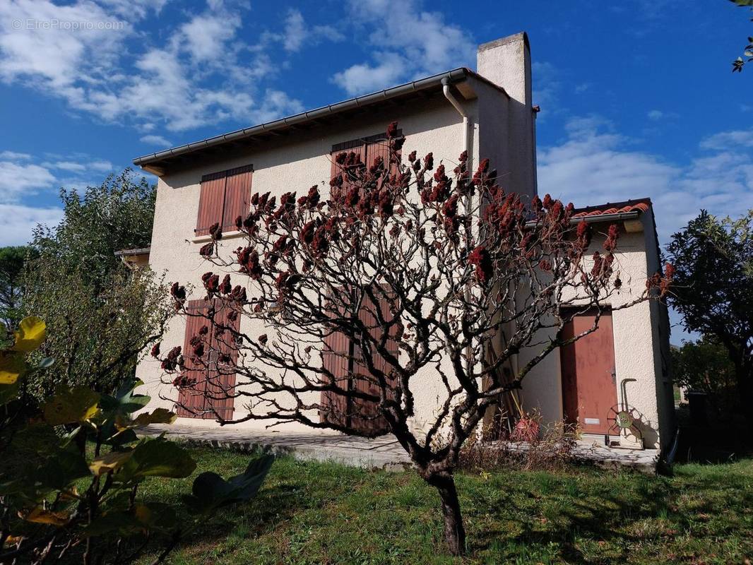 Photo 1 - Maison à CASTRES