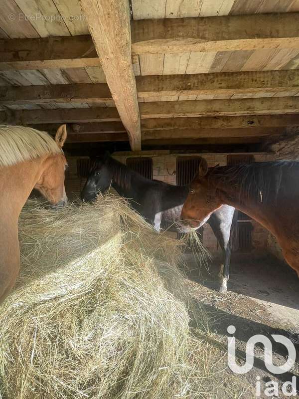 Photo 6 - Maison à LA FERTE-SOUS-JOUARRE