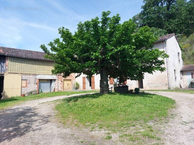 Maison à CASTELNAU-DE-LEVIS