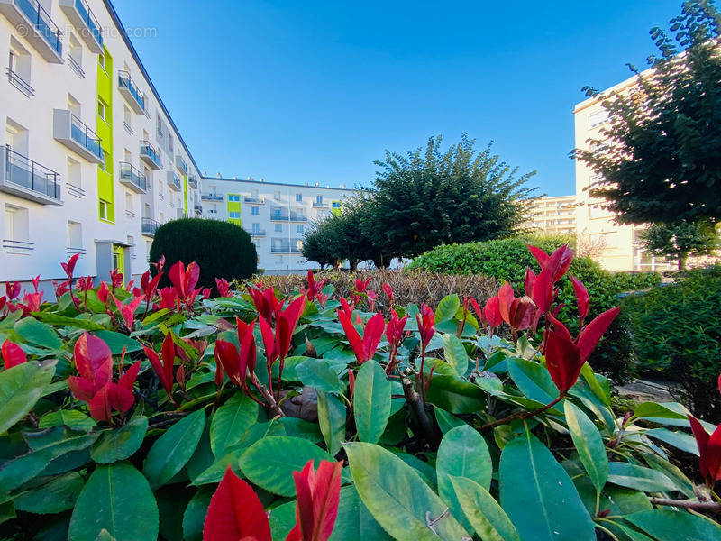 Appartement à ROANNE