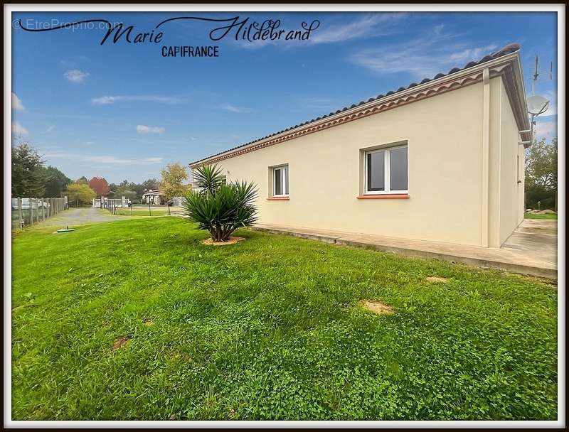 Maison à DUNES