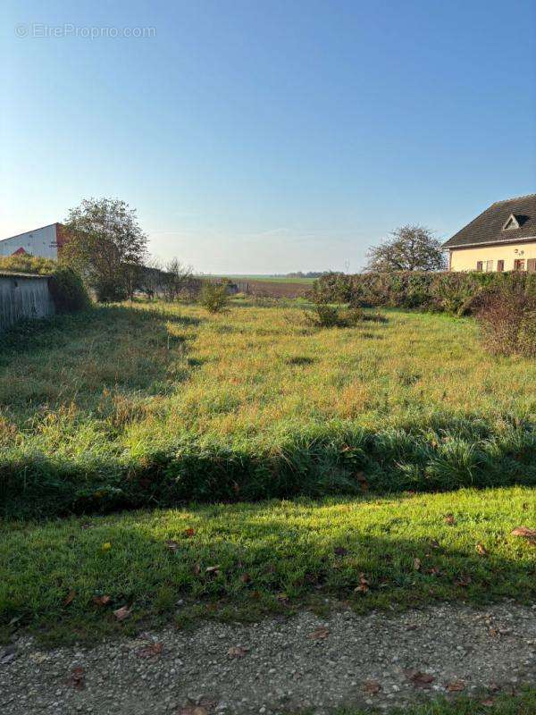 Terrain à TORCY-LE-GRAND