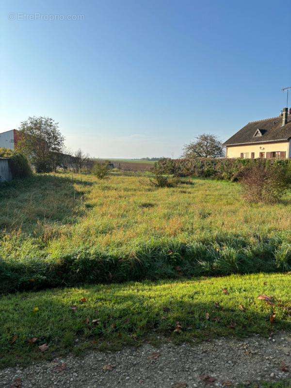 Terrain à TORCY-LE-GRAND