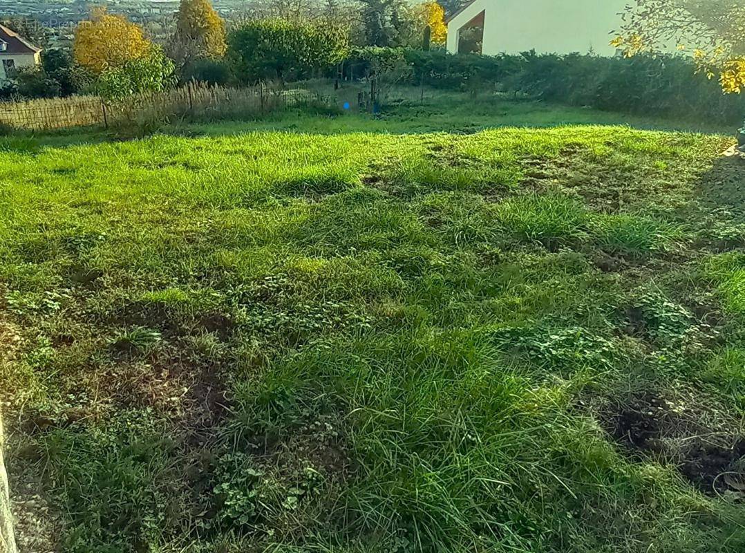 Terrain à SCY-CHAZELLES