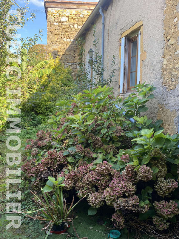 Maison à LIERGUES