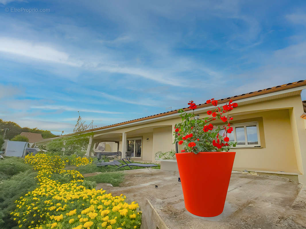 Maison à LA CHAPELLE-DE-SURIEU