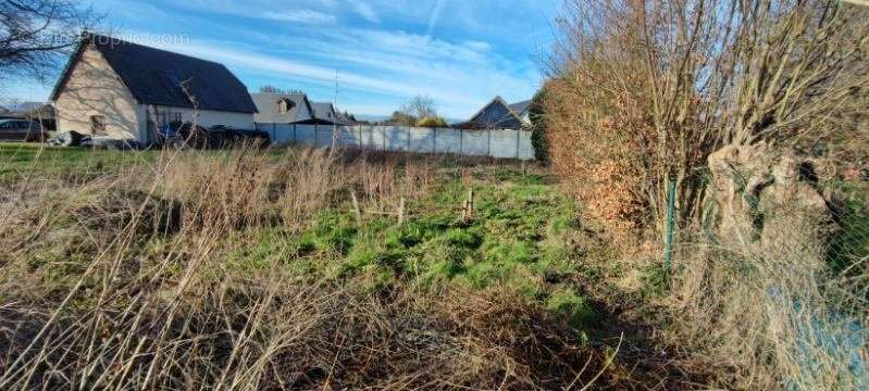 Terrain à TOURVILLE-LA-CAMPAGNE