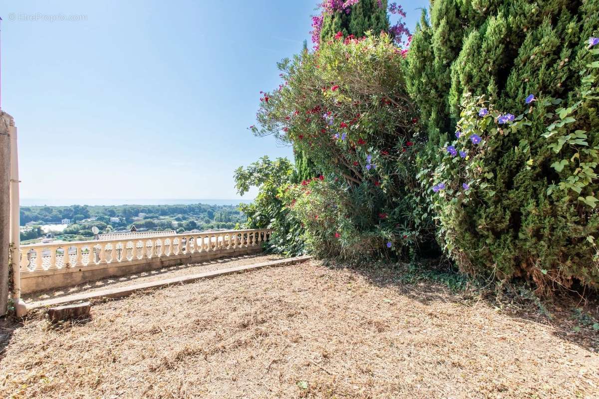 Maison à VILLENEUVE-LOUBET